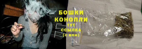 твердый Богородск