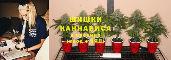 синтетический гашиш Богданович