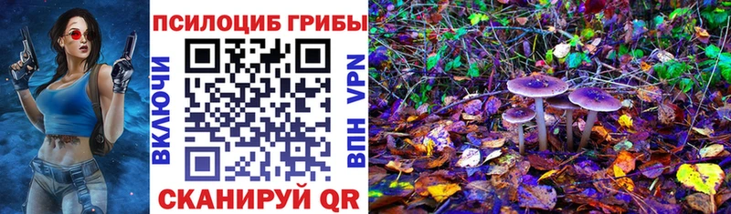гидра зеркало  Новоузенск  Галлюциногенные грибы MAGIC MUSHROOMS 